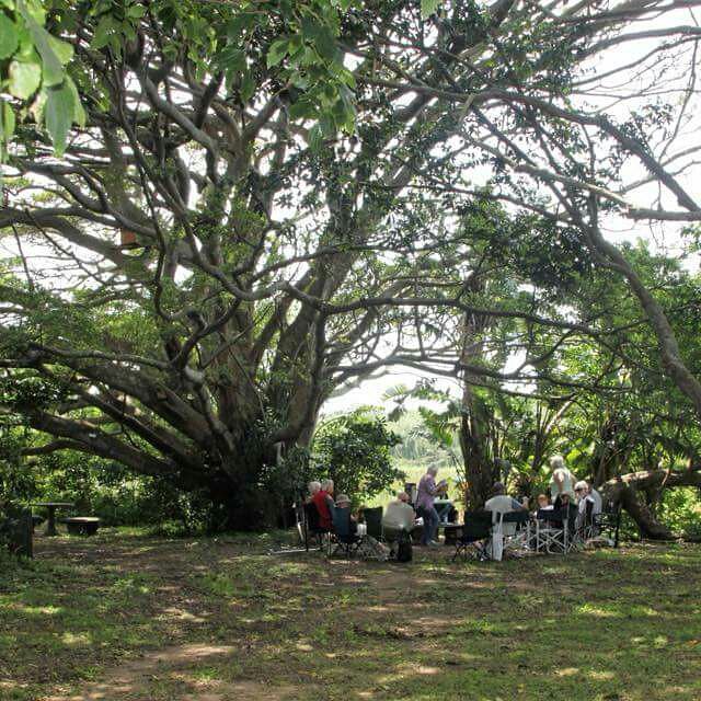  Nkomba Site of Conservation Significance (Pennington Conservancy)