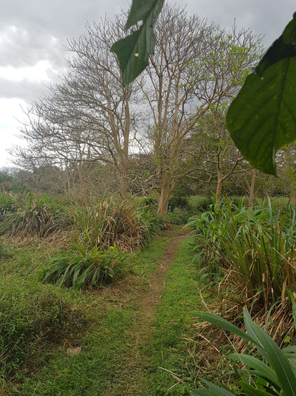  Nkomba Site of Conservation Significance (Pennington Conservancy)