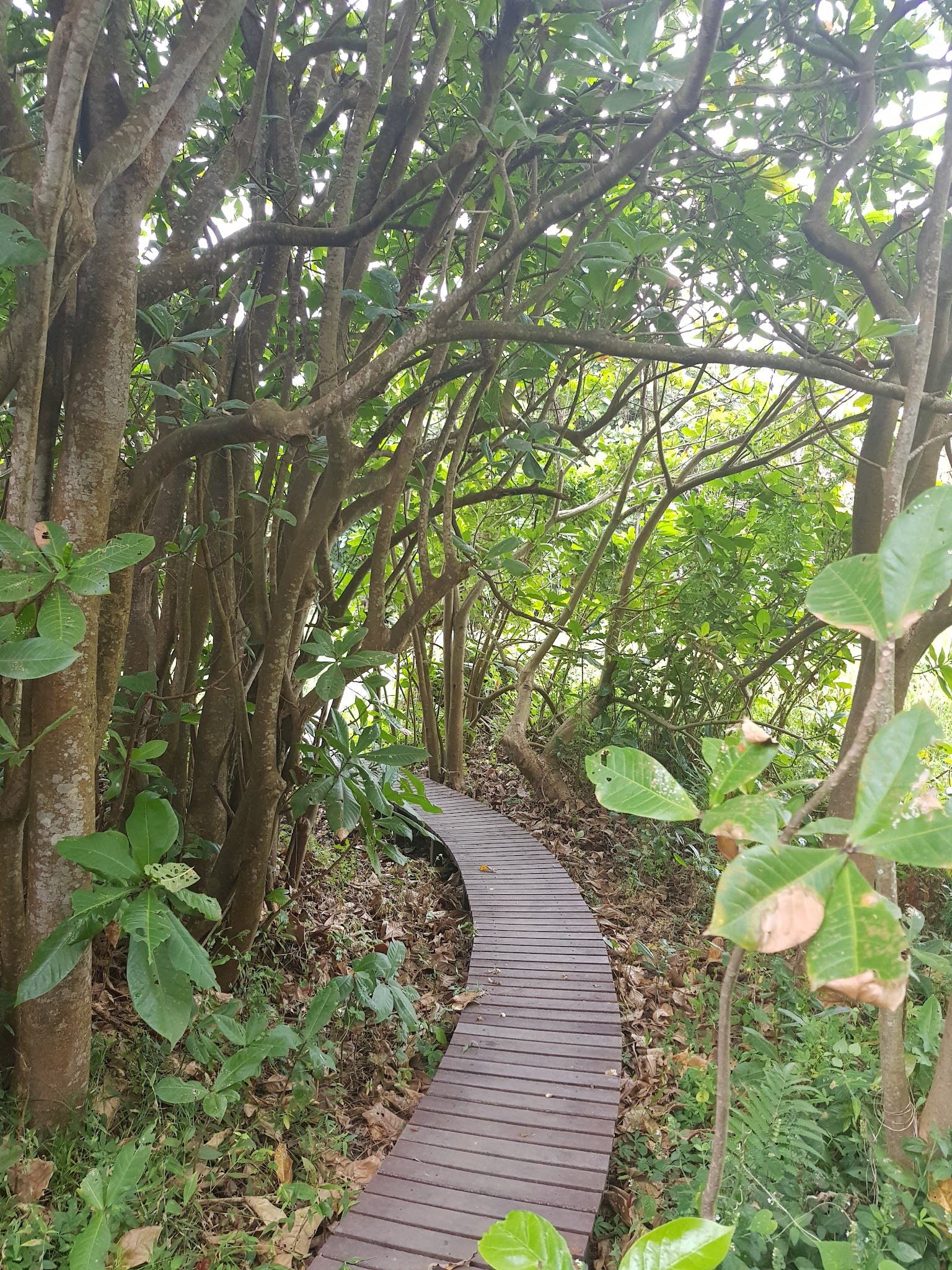  Nkomba Site of Conservation Significance (Pennington Conservancy)