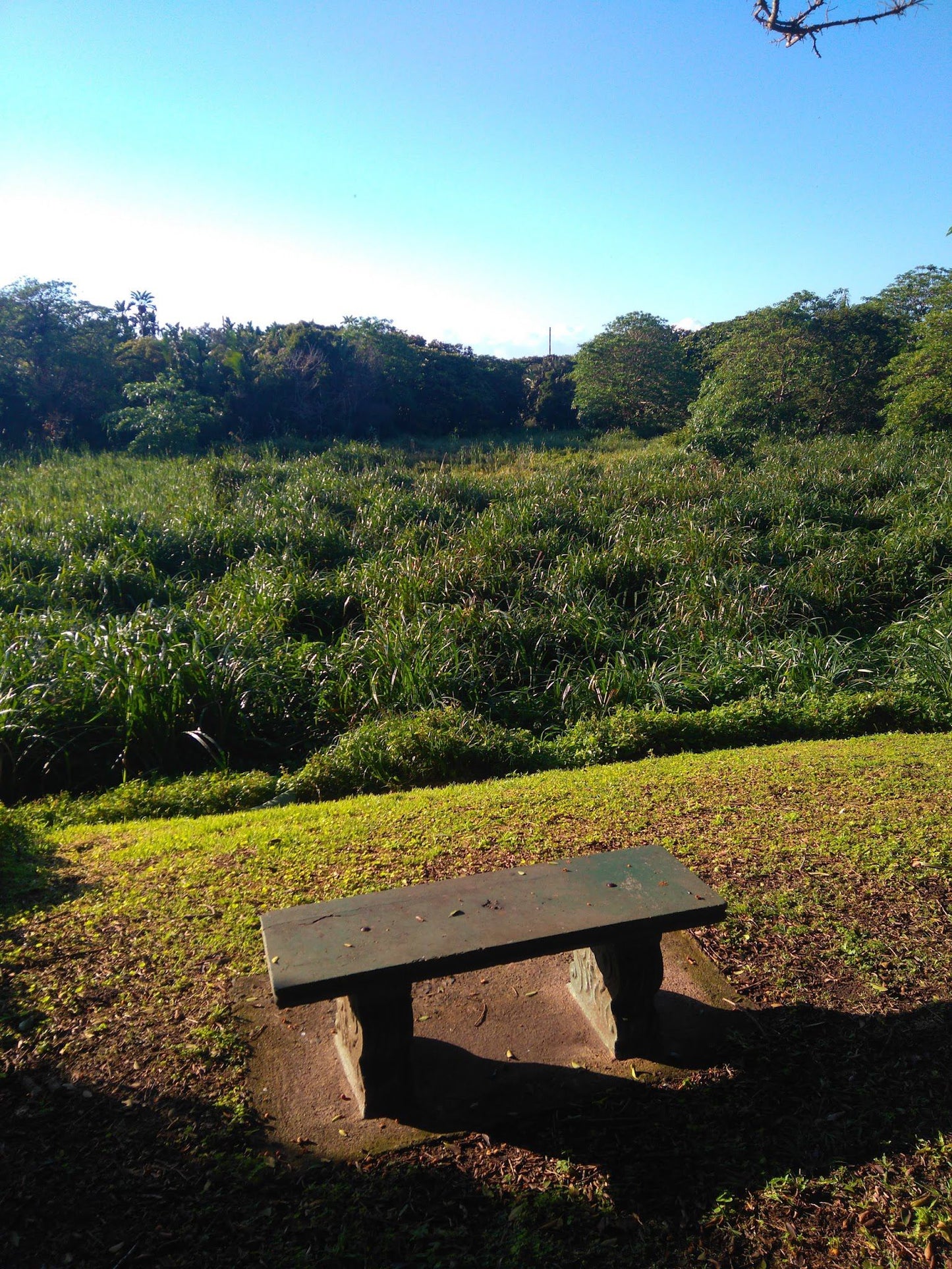  Nkomba Site of Conservation Significance (Pennington Conservancy)