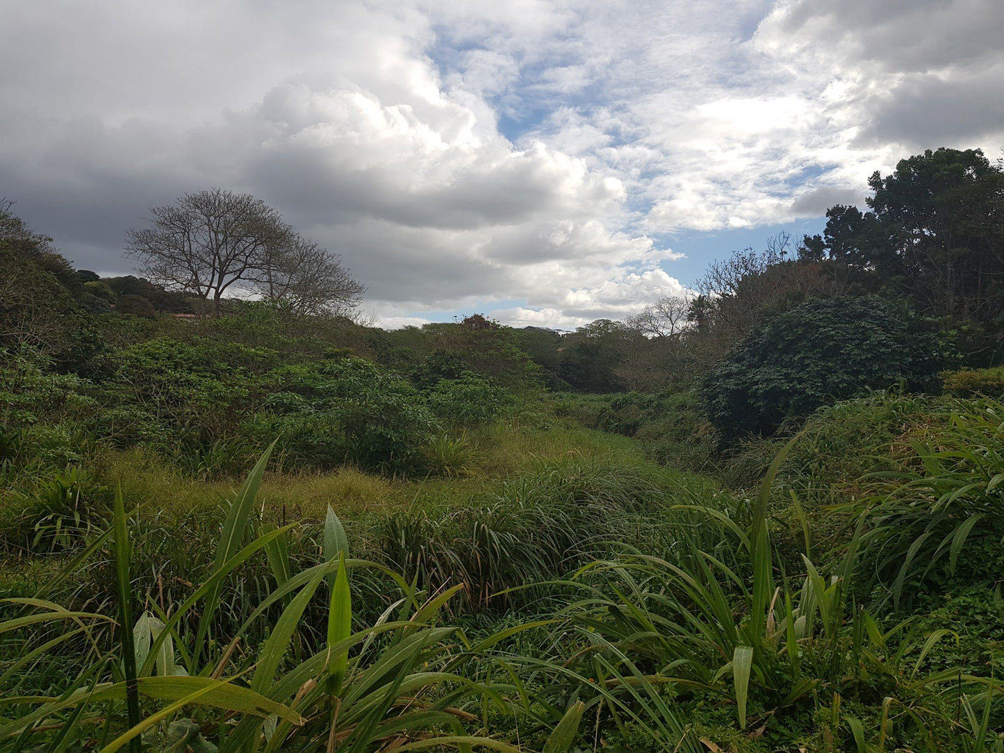  Nkomba Site of Conservation Significance (Pennington Conservancy)