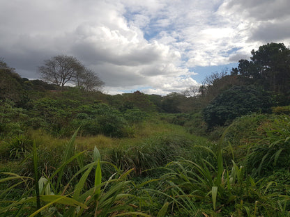  Nkomba Site of Conservation Significance (Pennington Conservancy)