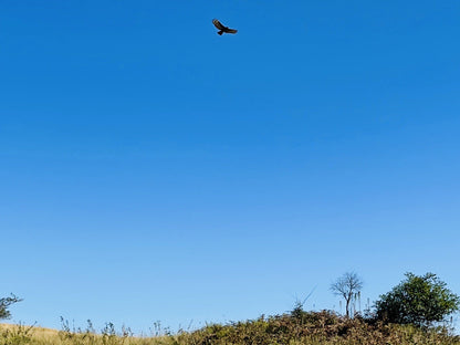  Nkonka Trust Nature Reserve View Site