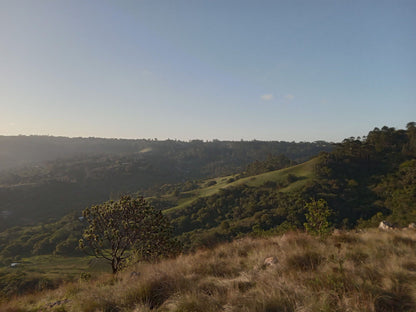  Nkonka Trust Nature Reserve View Site