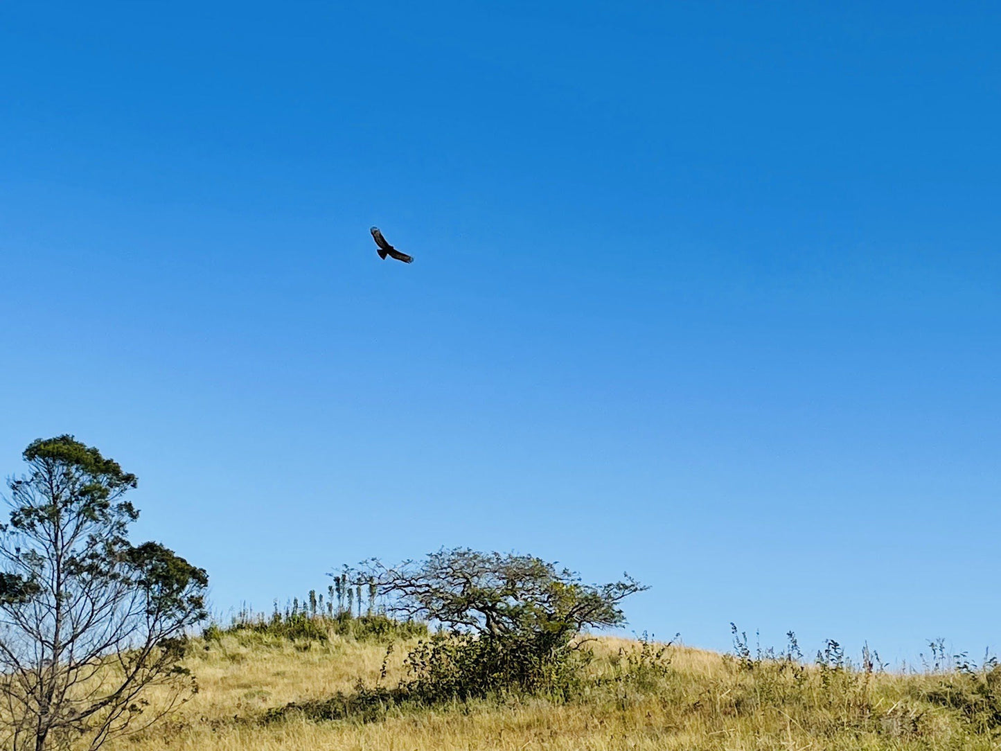  Nkonka Trust Nature Reserve View Site