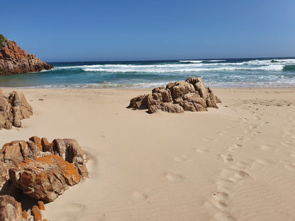  Noetzie beach