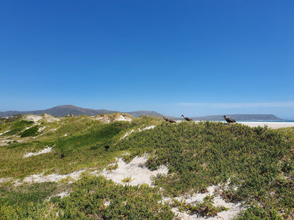  Noordhoek Beach