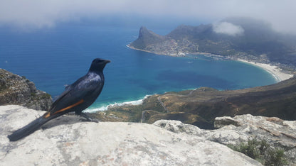  Noordhoek Peak bench