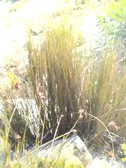  Noordhoek Peak bench