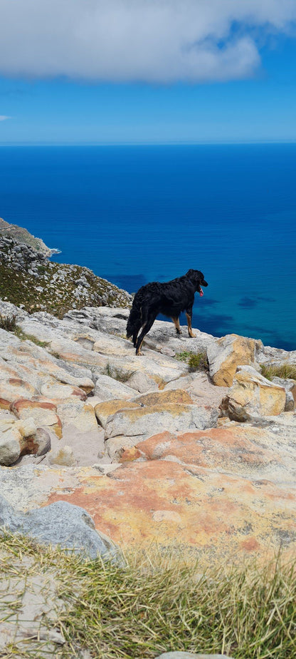  Noordhoek Peak bench