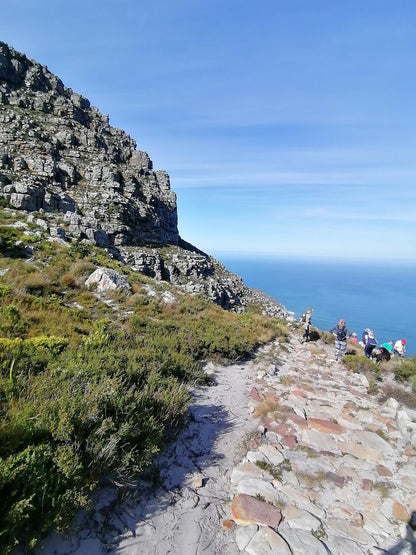  Noordhoek Peak bench