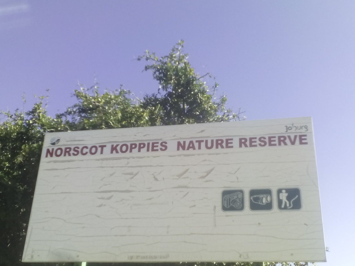  Norscot Koppies Nature Reserve