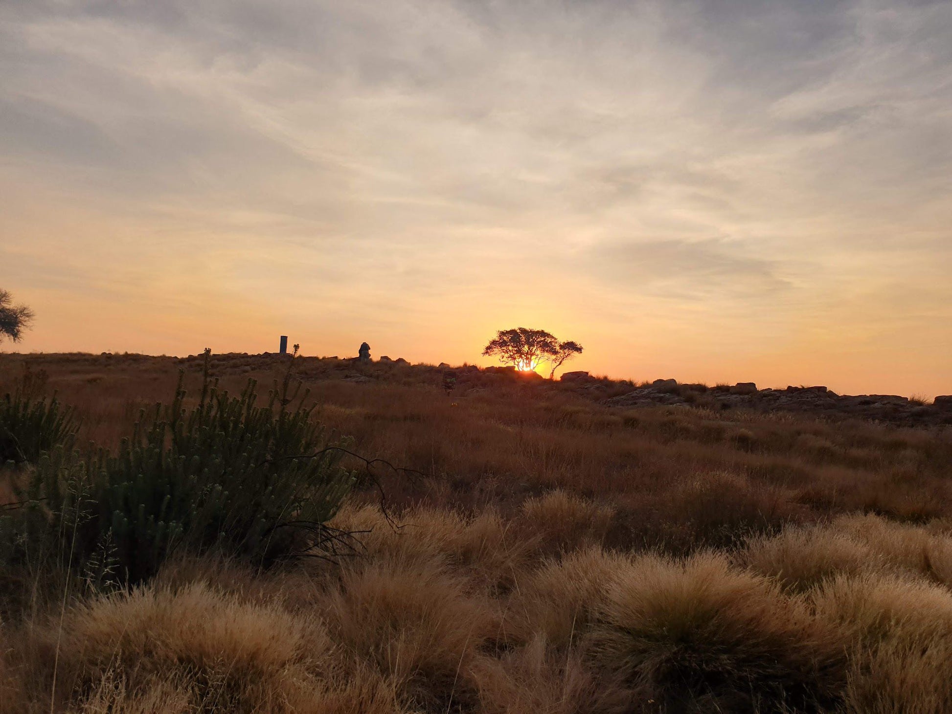  Northcliff Ridge eco park