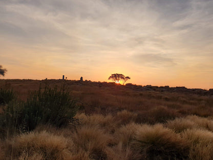  Northcliff Ridge eco park