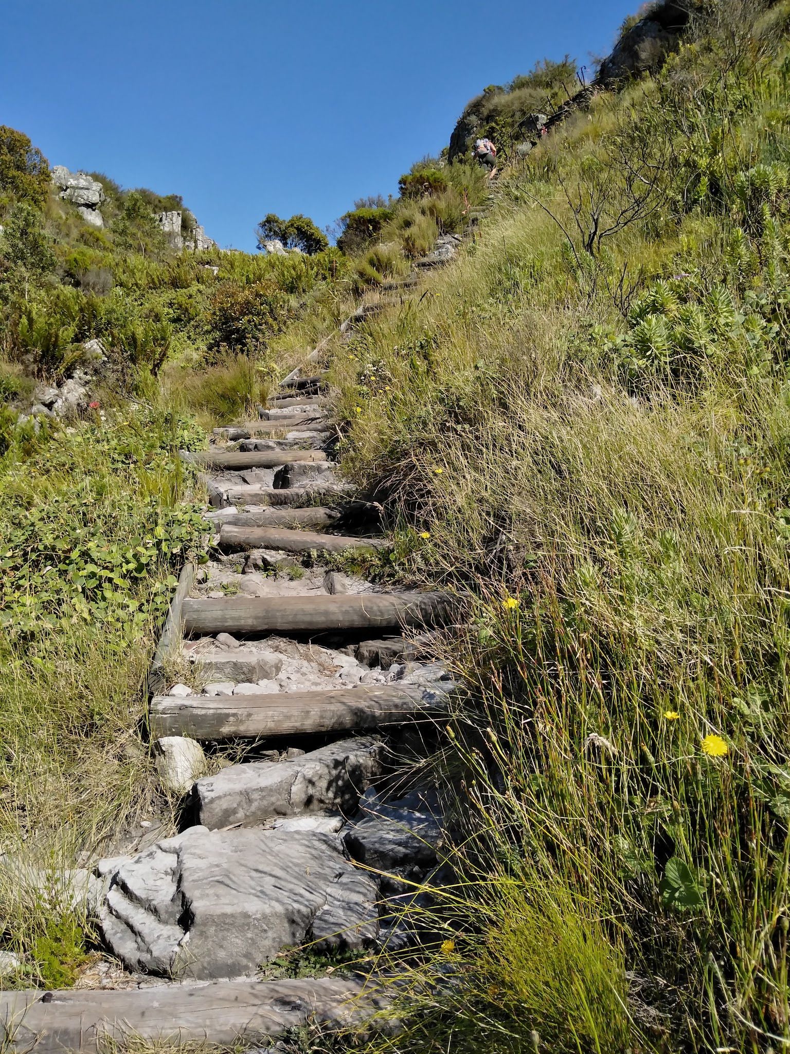  Nursery Buttress