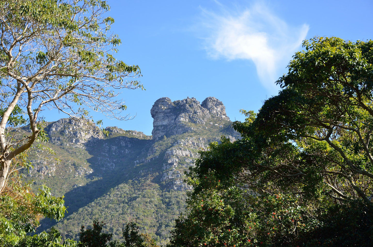  Nursery Buttress