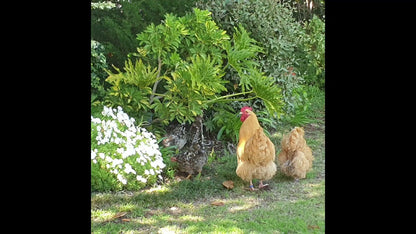  Nuy Valley Guest Farm