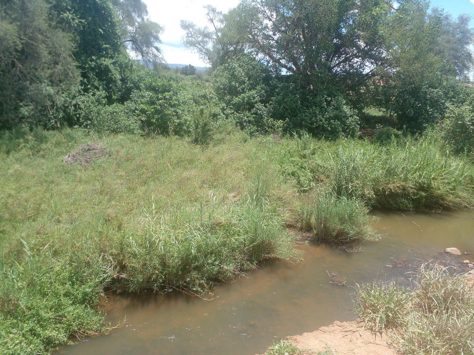  Nwanedi Provinsiale Park