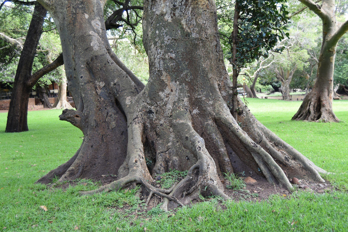  Nwanedi Provinsiale Park