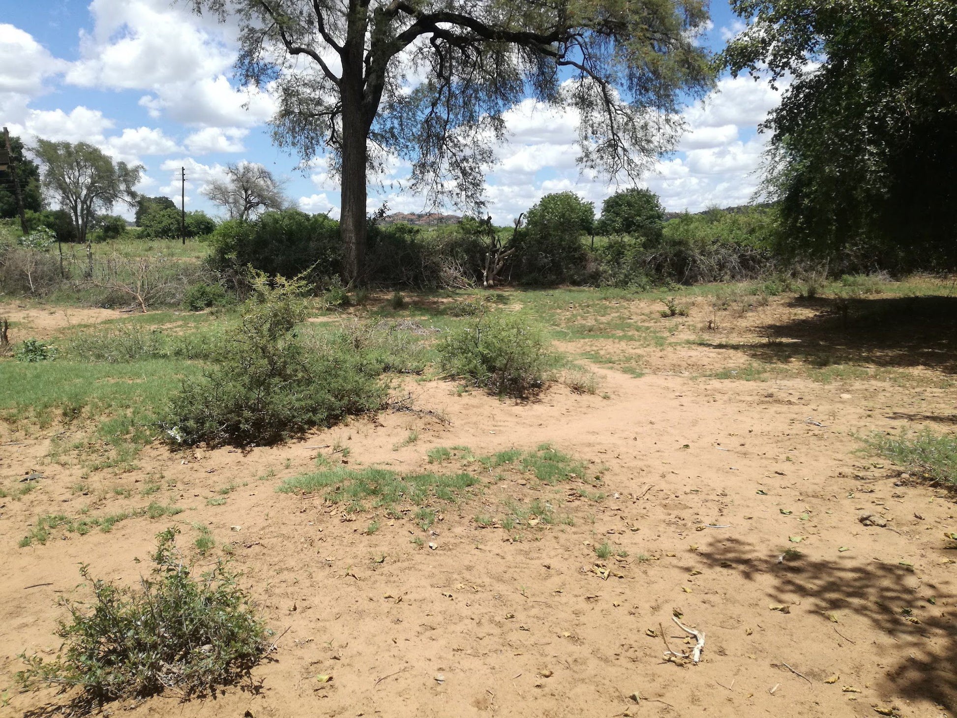  Nwanedi Provinsiale Park