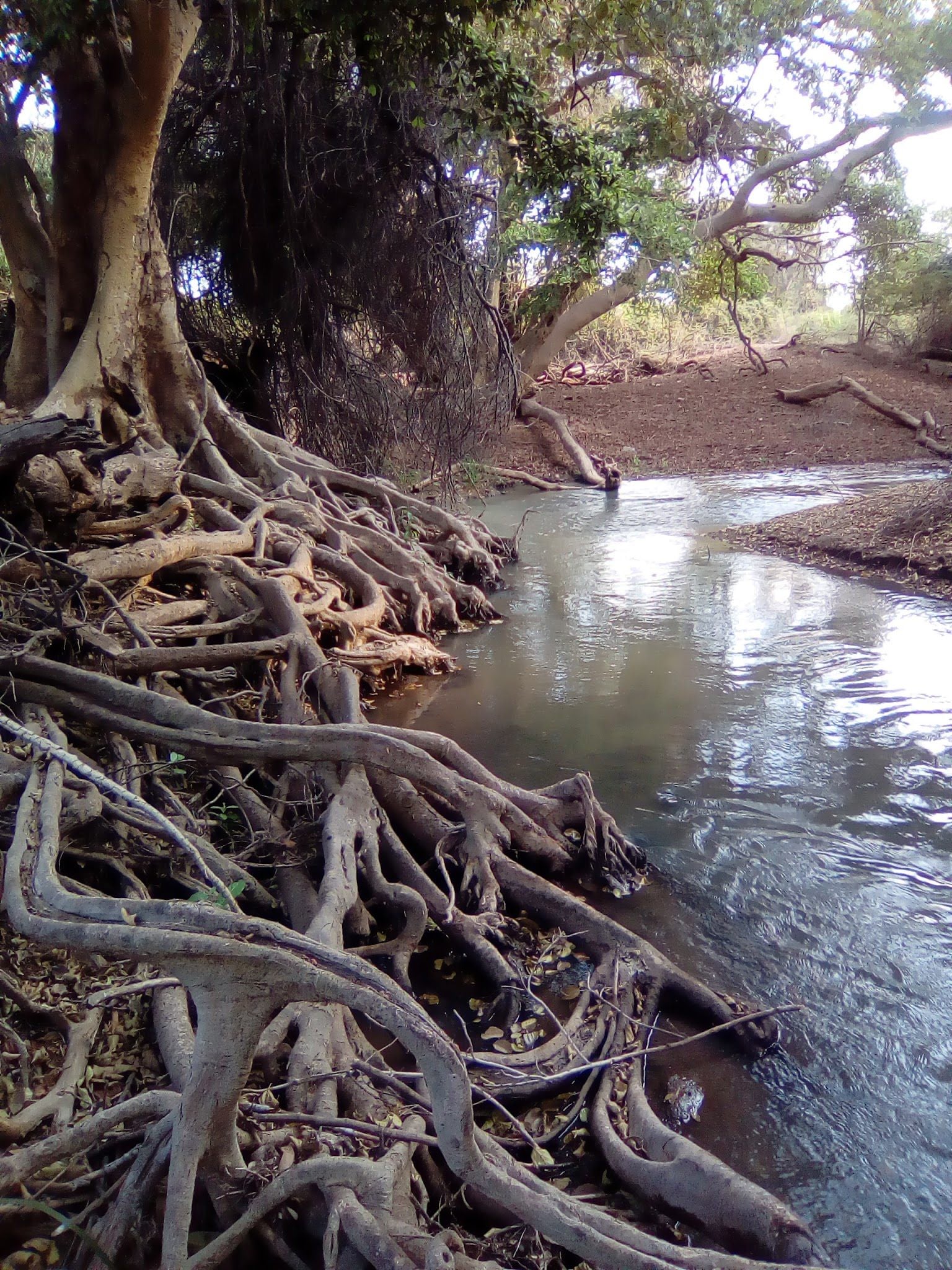  Nwanedi Provinsiale Park