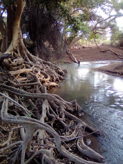  Nwanedi Provinsiale Park