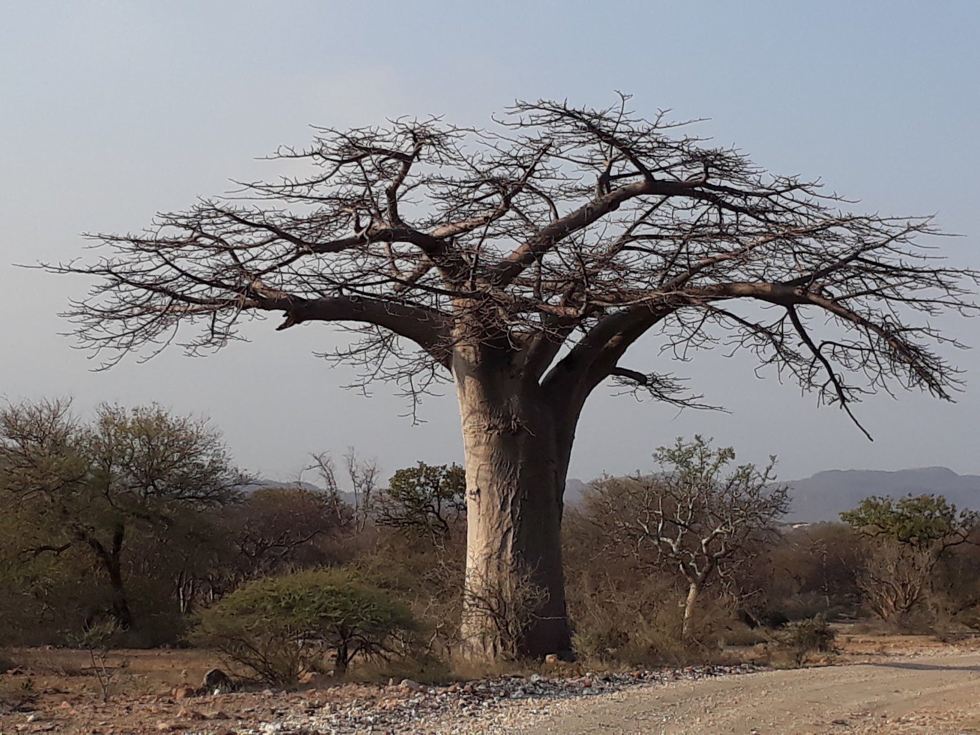  Nwanedi Provinsiale Park