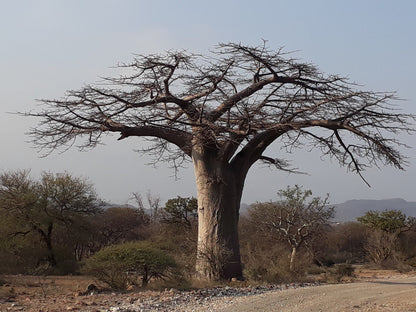  Nwanedi Provinsiale Park