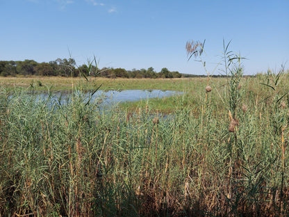  Nylsvlei Nature Reserve