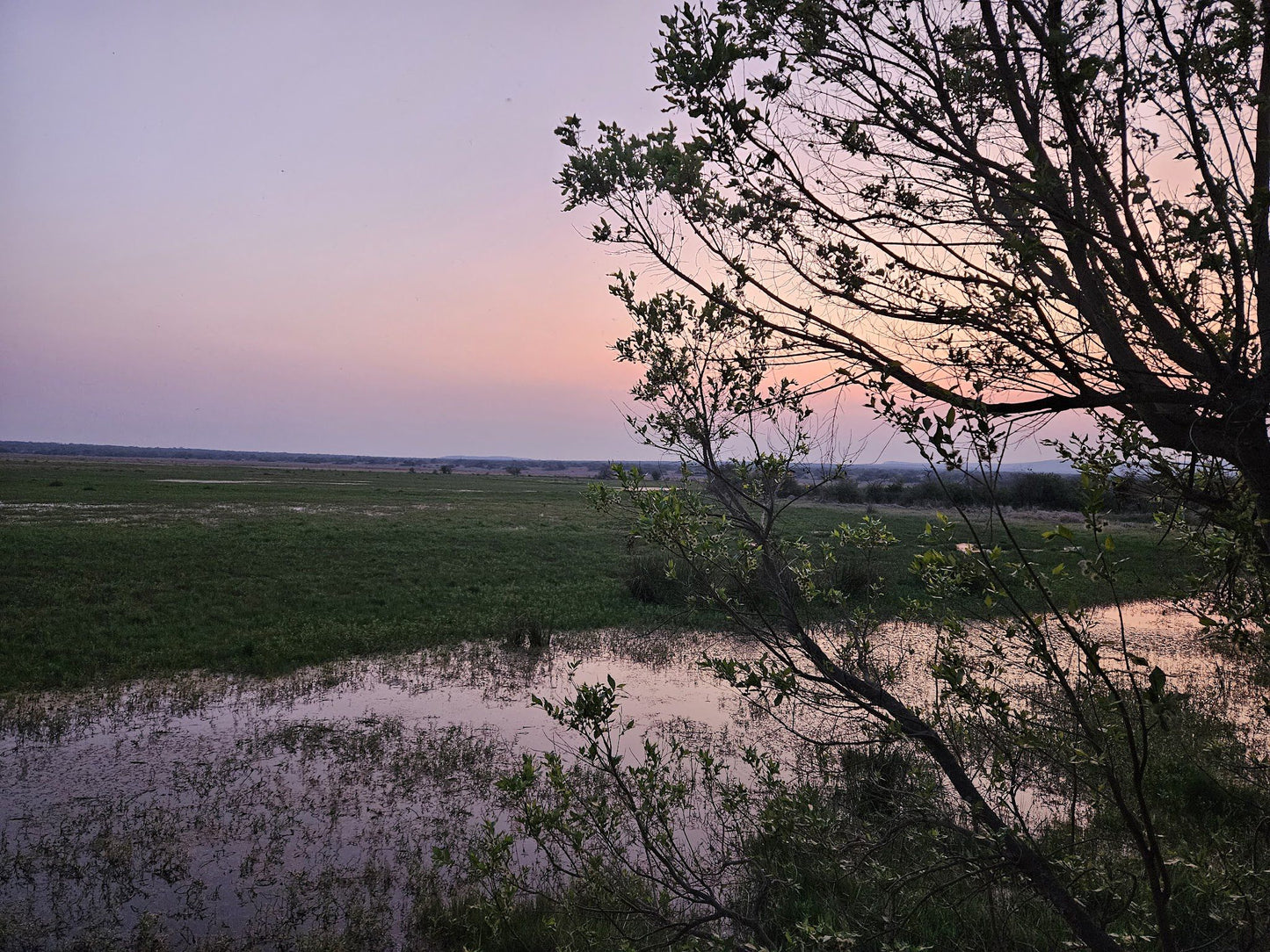  Nylsvlei Nature Reserve