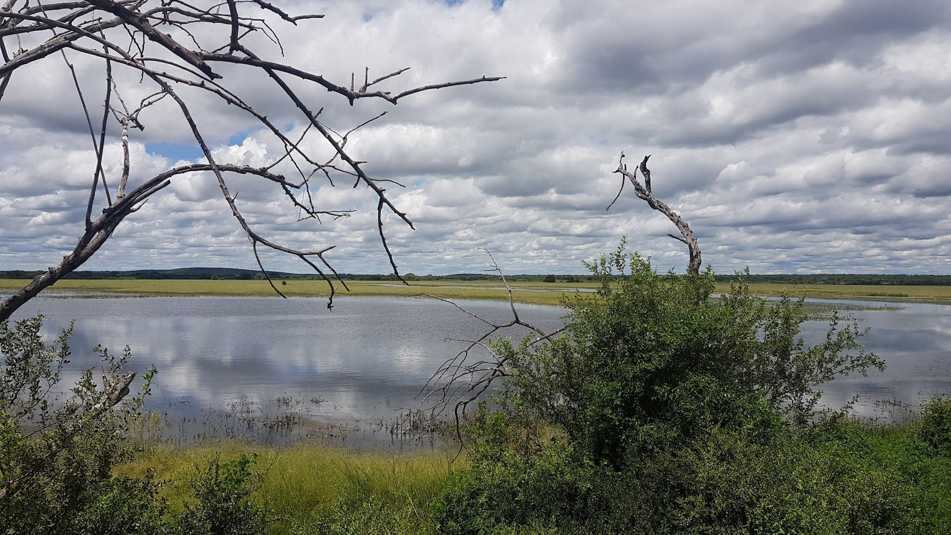  Nylsvlei Nature Reserve