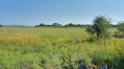  Nylsvlei Nature Reserve