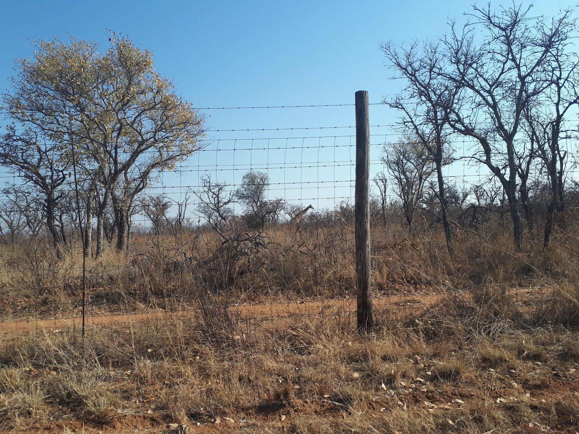  Nylsvlei Nature Reserve