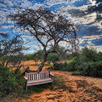  Nylsvlei Nature Reserve