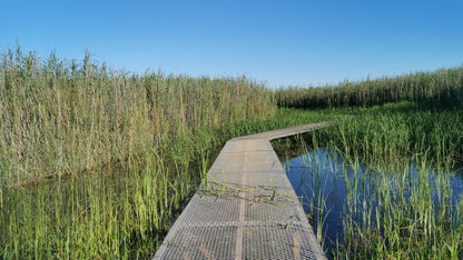  Nylsvlei Nature Reserve