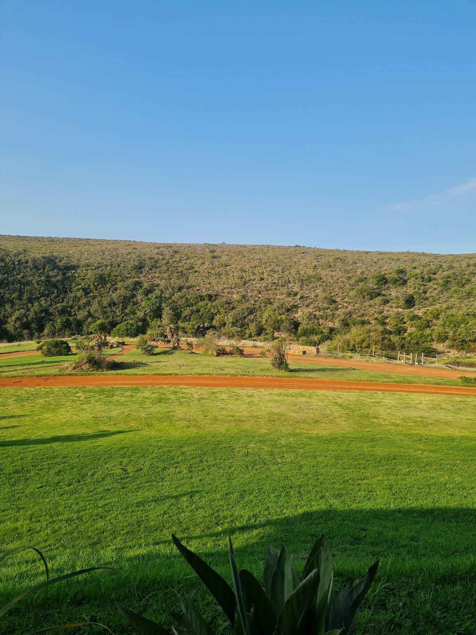  Nyosi Wildlife Reserve