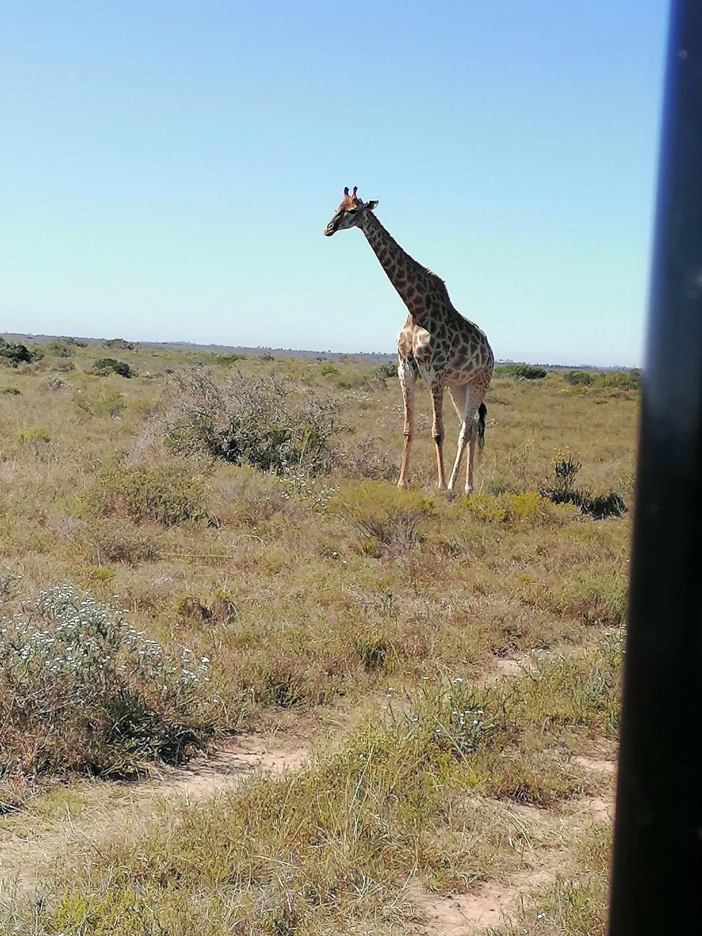  Nyosi Wildlife Reserve