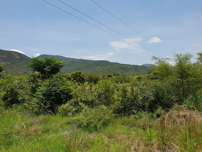  Nzhelele Nature Reserve