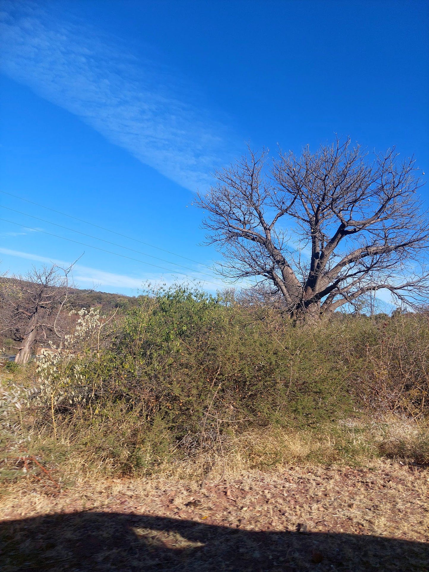  Nzhelele Nature Reserve