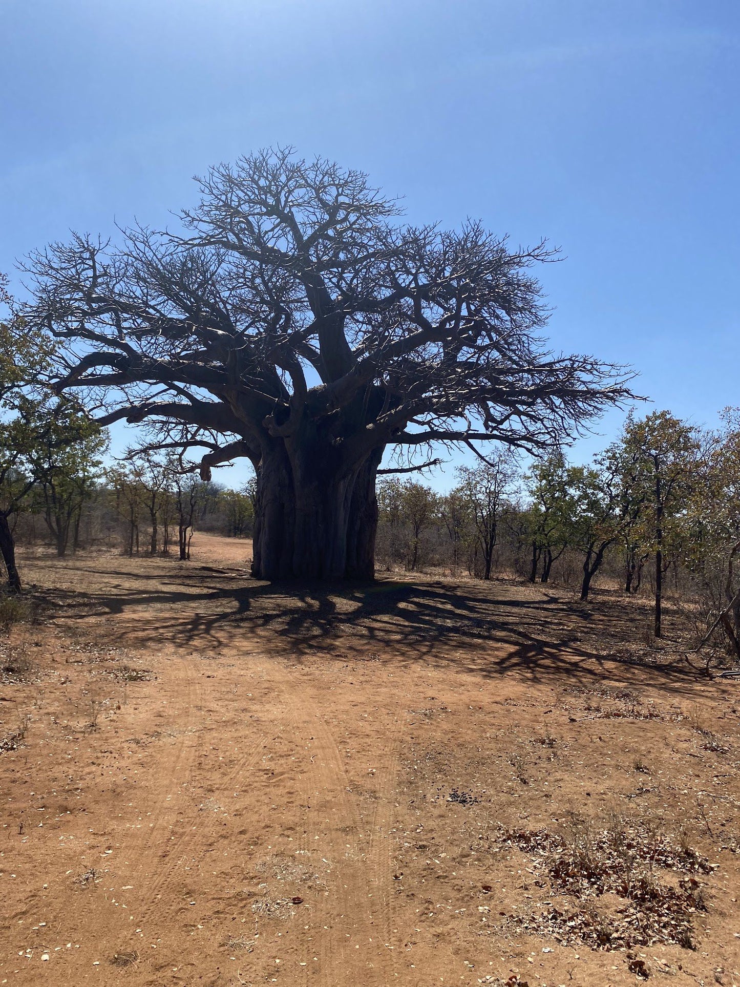  Nzhelele Nature Reserve