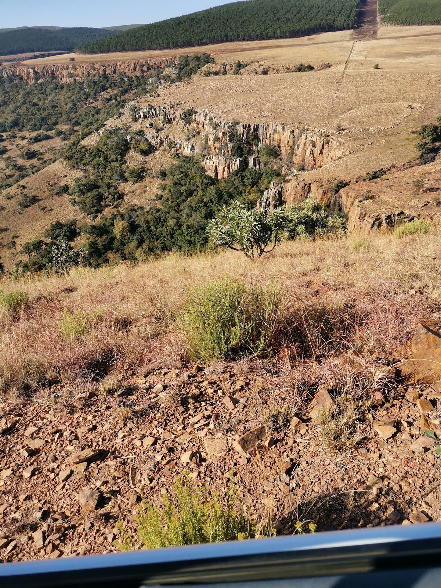  Ohrigstad Dam Nature Reserve