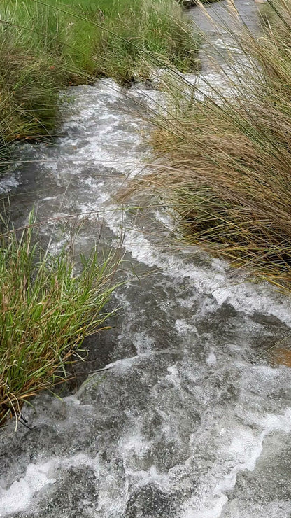  Ohrigstad Dam Nature Reserve