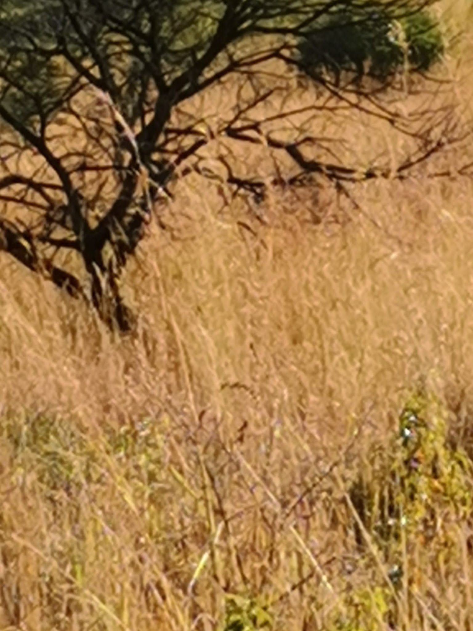  Ohrigstad Dam Nature Reserve