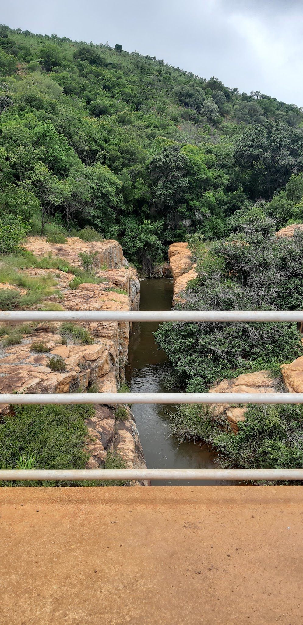  Ohrigstad Dam Nature Reserve