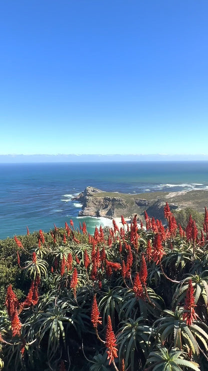  Old Cape Point Lighthouse