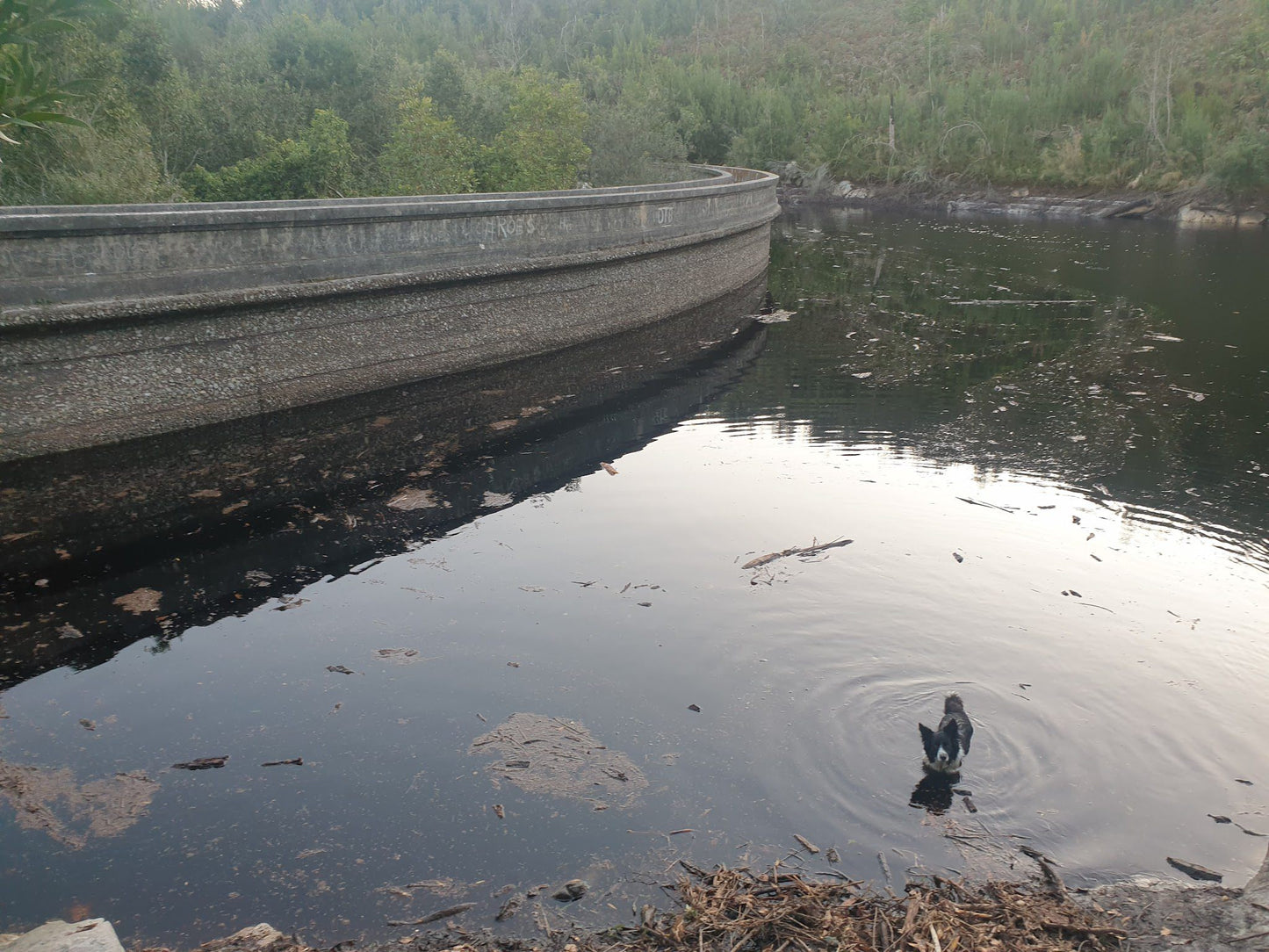 Old George Dam