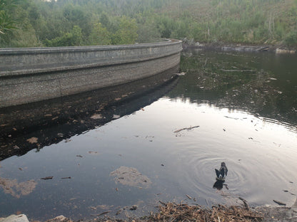 Old George Dam