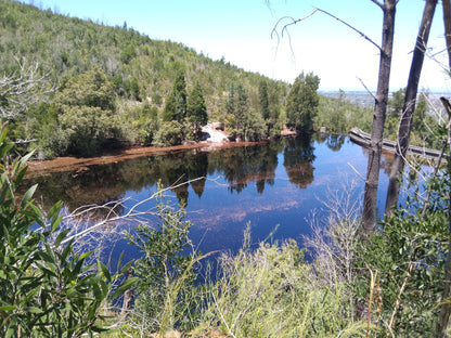 Old George Dam