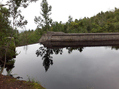 Old George Dam