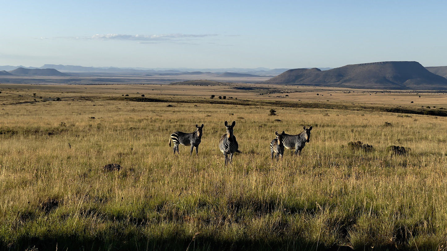  Oliviershoek Pass Viewpoint